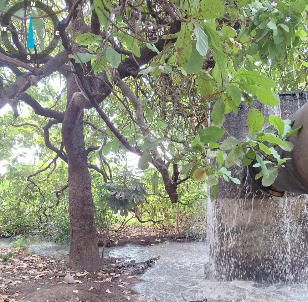 vale-este-esgoto-brk-1 Apos vazamento BRK é multada em R$ 1,7 milhão por contaminação que chegou ao Lago de Palmas