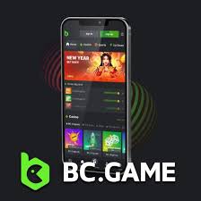 kyc-aml-bc-game_1 KYC এবং AML BC.Game এর একটি দৃষ্টিভঙ্গি